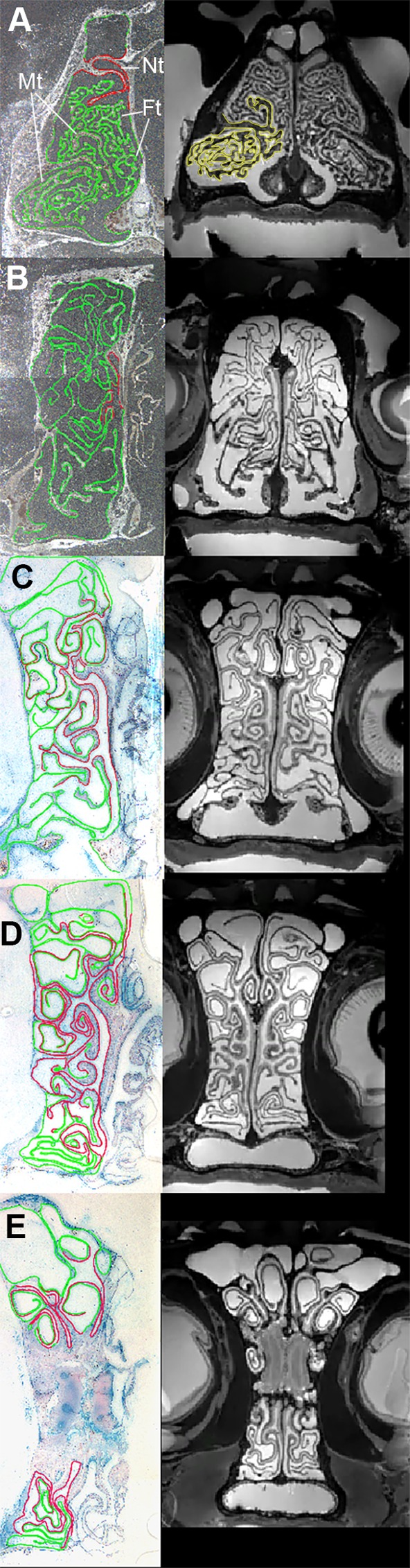 Fig. 3.