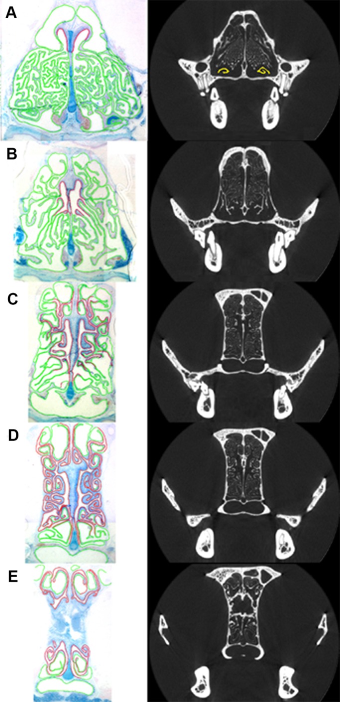 Fig. 2.