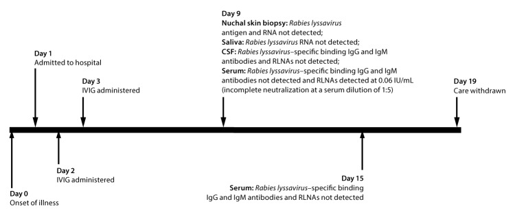 The figure above shows a timeline of events for a patient with Eastern equine virus infection who had no history of rabies vaccination, but in whom Rabies lyssavirus neutralizing antibodies were detected after receiving intravenous immune globulin.