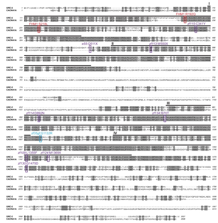 Figure 2—figure supplement 1.