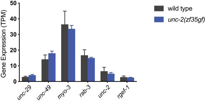 Figure 6—figure supplement 4.