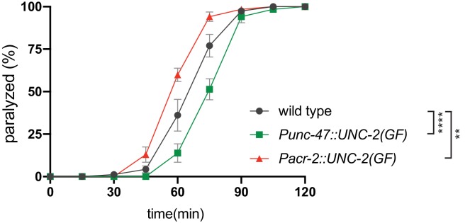 Figure 7—figure supplement 2.