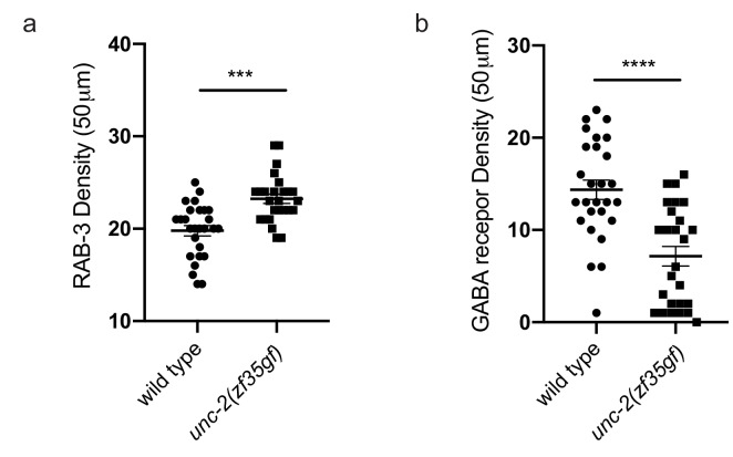 Figure 6—figure supplement 2.