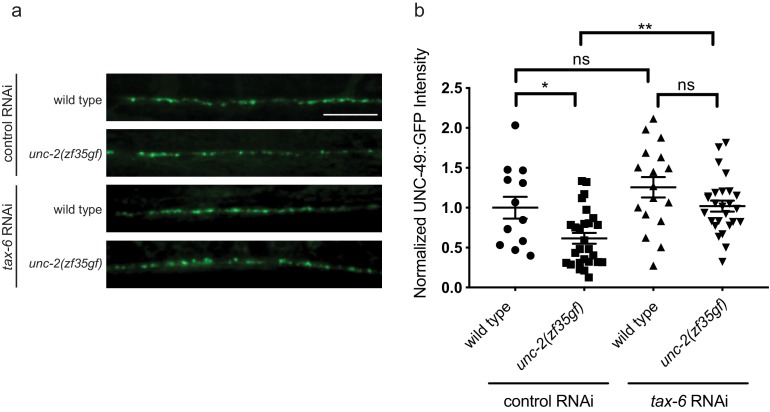 Figure 7—figure supplement 3.