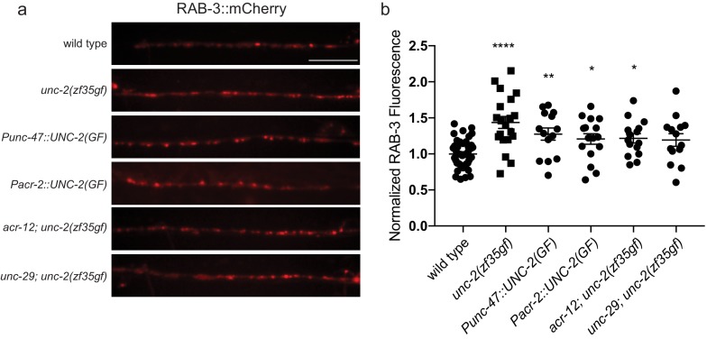 Figure 7—figure supplement 1.