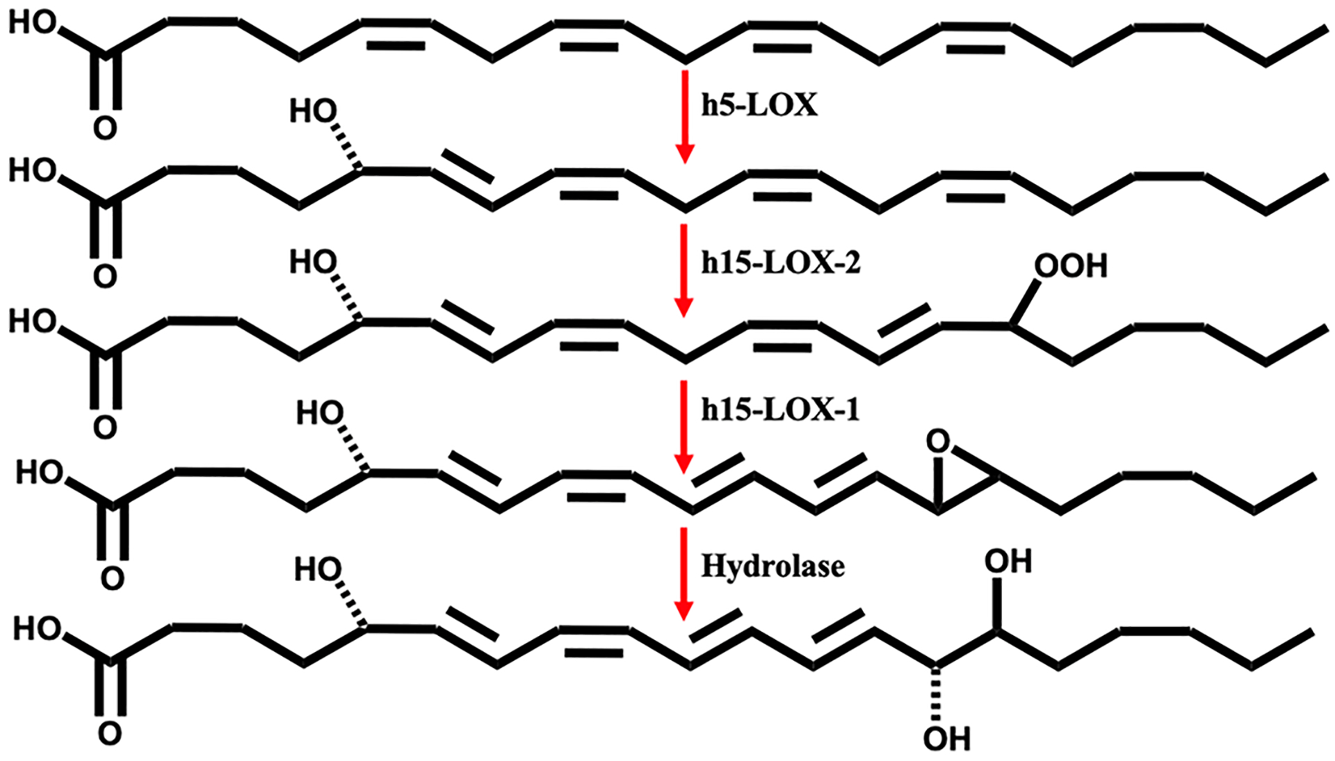 Scheme 3.