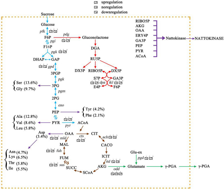 Fig. 10