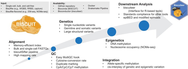 Graphical Abstract