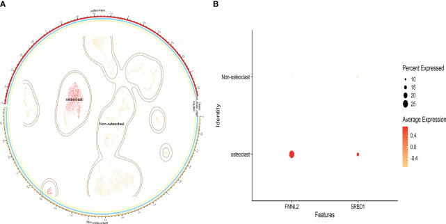 Figure 5