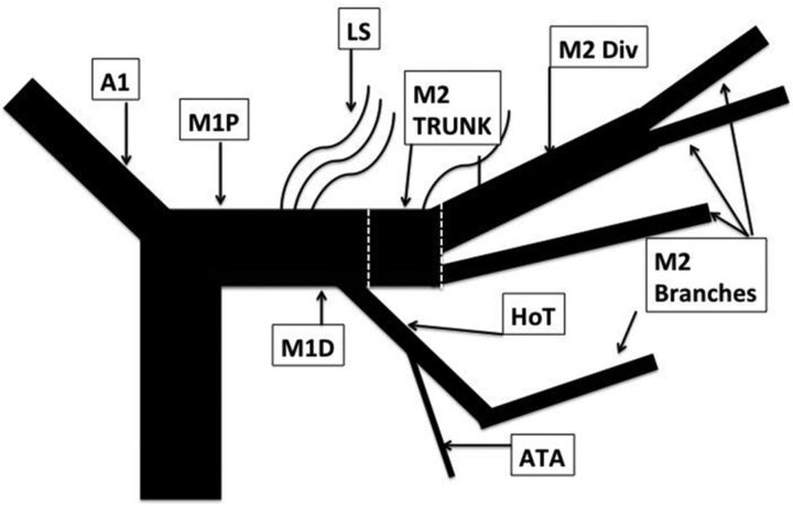 Fig 3.