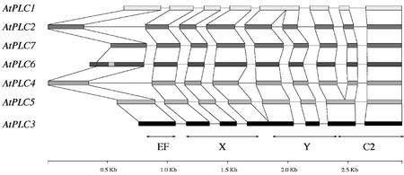 Figure 13