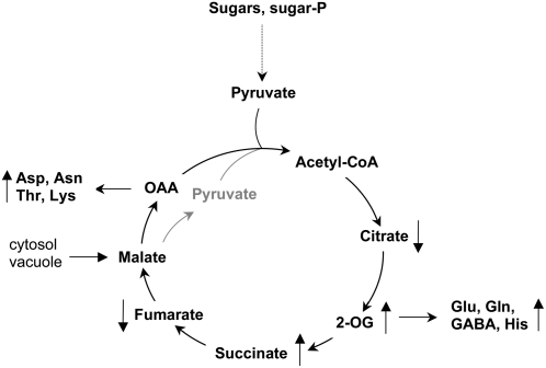 Figure 7.