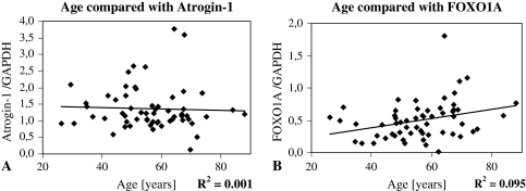 Fig. 2A–B