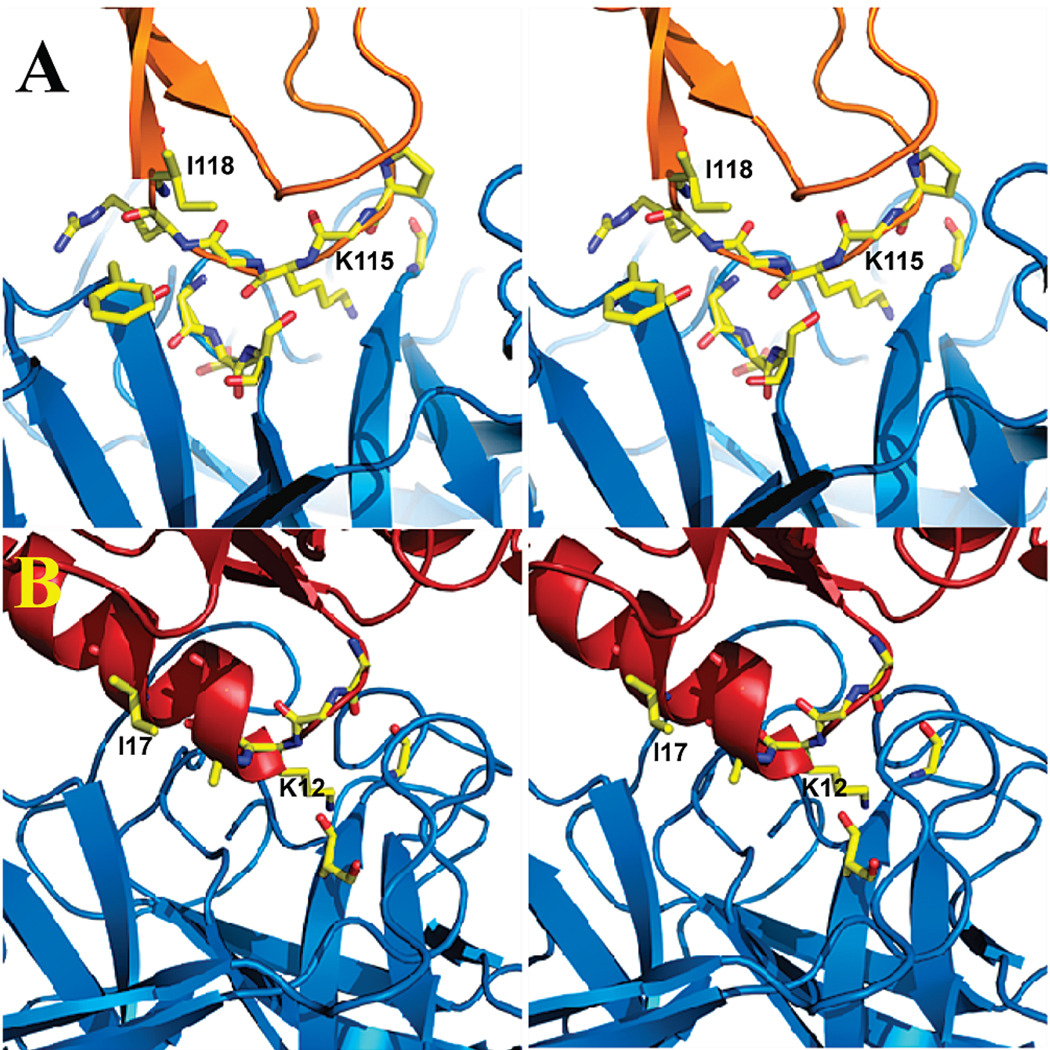 FIGURE 3