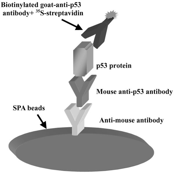 Figure 1.A