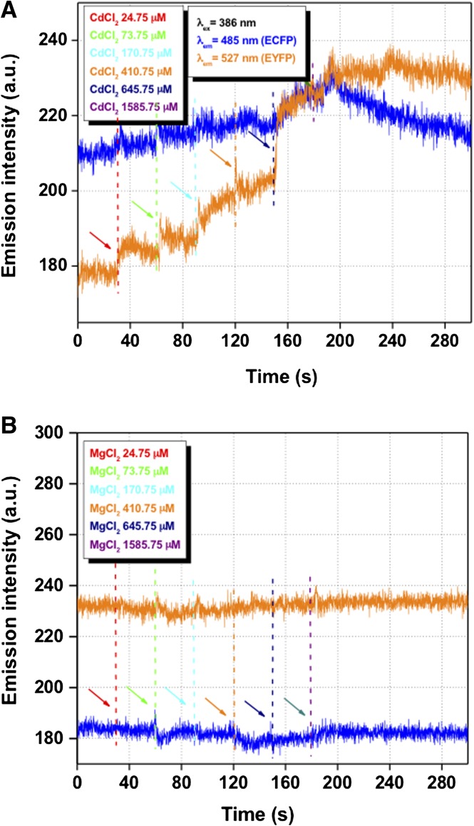 Figure 5.