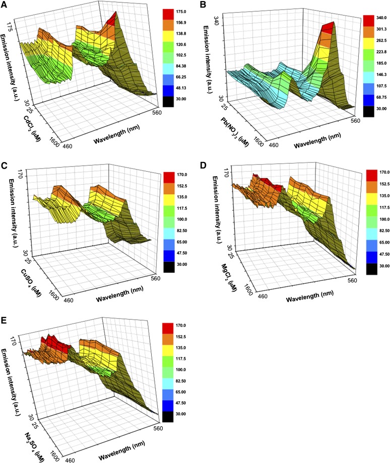 Figure 4.