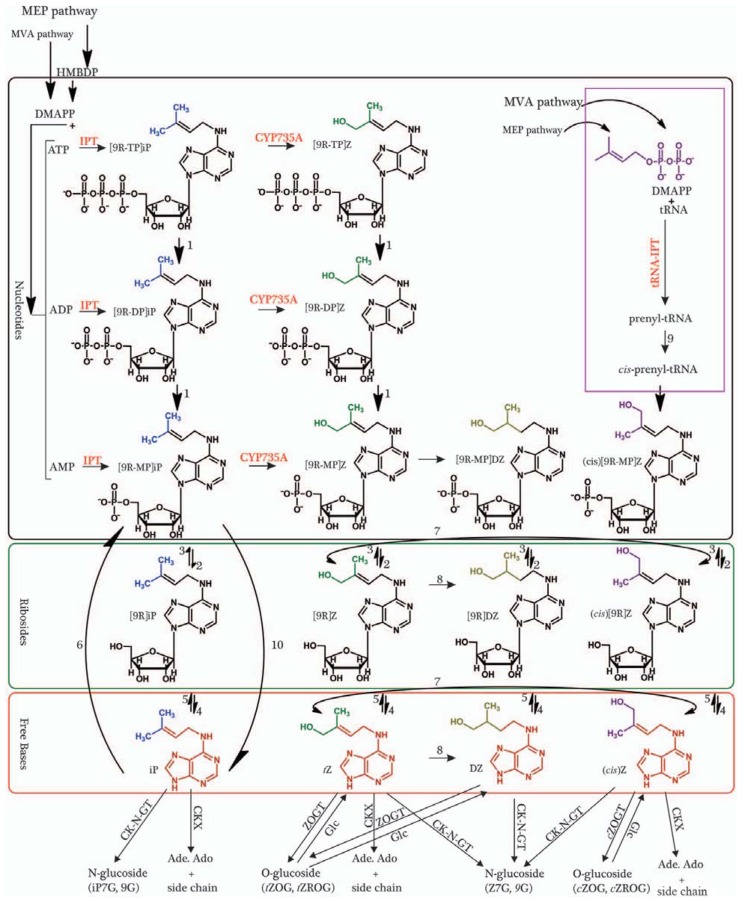 Fig. (4)