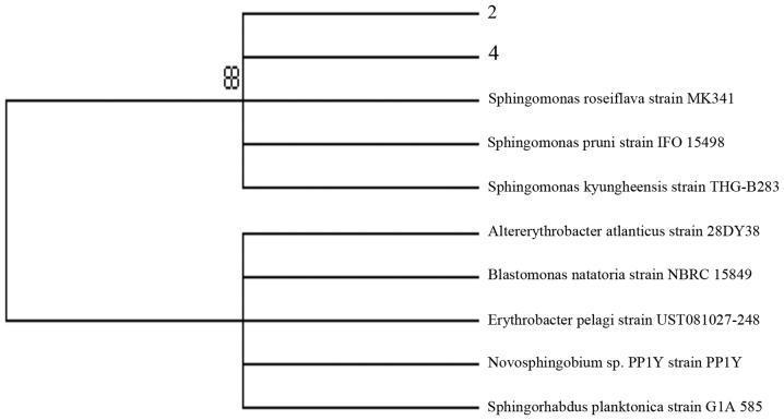 Figure 4.