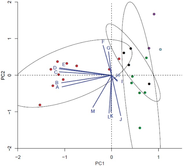 Fig. 3.