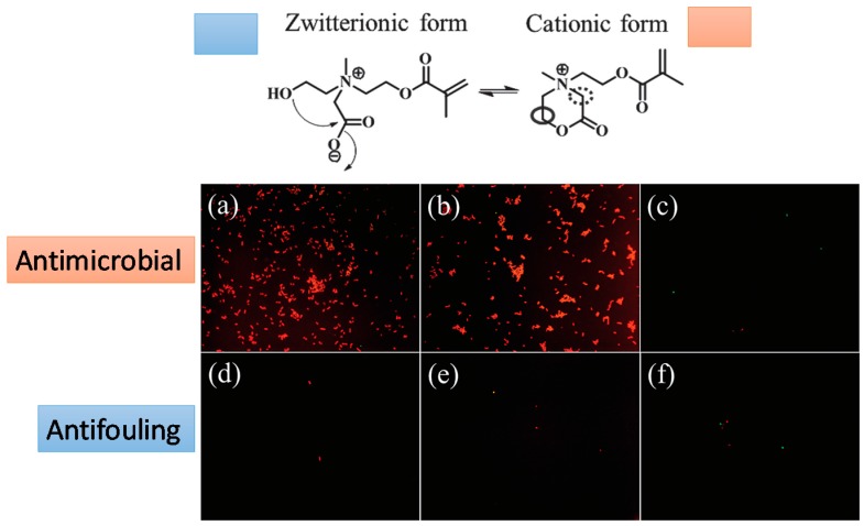 Figure 14