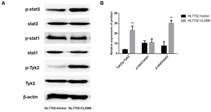 Figure 4. a, b