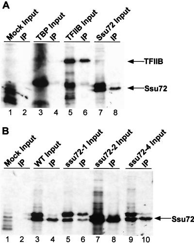 FIG. 7