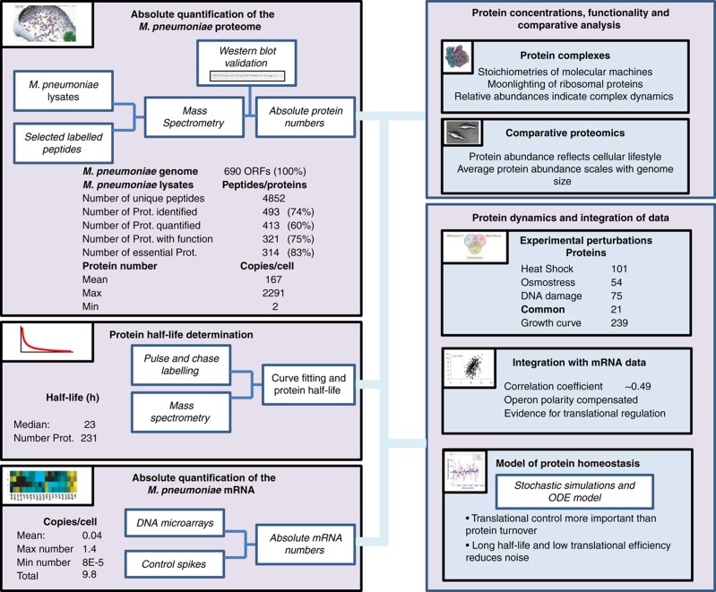 Overview over the generated and analysed data sets and summary of the main findings