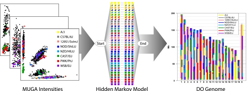 Fig. 2