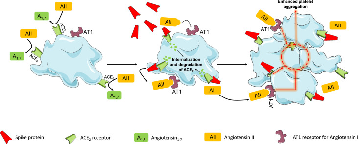 Fig. 2