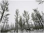 graphic file with name sensors-22-09830-i080.jpg