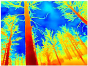 graphic file with name sensors-22-09830-i087.jpg