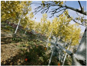 graphic file with name sensors-22-09830-i072.jpg