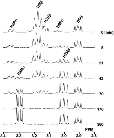 FIG. 5