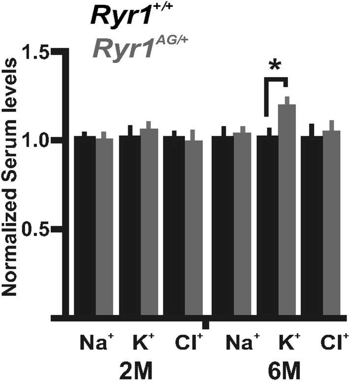 Figure 4—figure supplement 1.