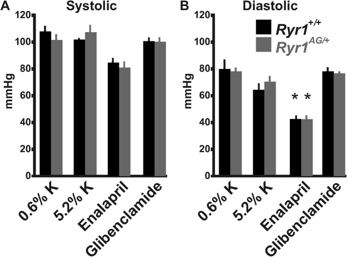 Figure 6—figure supplement 1.