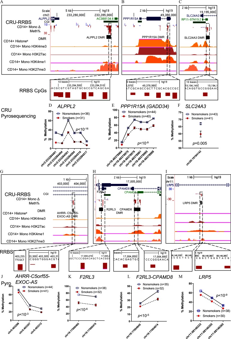 Figures 3A, 3B, 3C, 3G, 3H, and 3I are graphical representations of the validation of SM DMRs. Figures 3D, 3E, 3F, 3J, 3K, 3L, and 3M are line graphs plotting percentage of methylation (y-axis) across chromosomes (x-axis) for the ALPP2 (nonsmokers equal 36, smokers equal 31; p less than 10 superscript negative 16), PPP1R15A (GADD34) (nonsmokers equal 44, smokers equal 40; p less than 10 superscript negative 9), SLC24A3 (nonsmokers equal 43, smokers equal 41; p equals 0.005), AHRR-C5orf55-EXOC-AS (nonsmokers equal 44, smokers equal 41; p less than 10 superscript negative 3), F2RL3 (nonsmokers equal 38, smokers equal 32; p less than 10 superscript negative 6), F2RL3-CPAMD8 (nonsmokers equal 35, smokers equal 32; p less than 10 superscript negative 5), and LRP5 (nonsmokers equal 38, smokers equal 30; p less than 10 superscript negative 9), respectively.