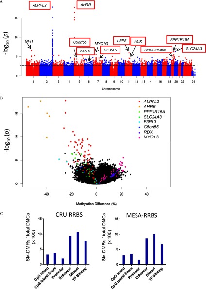 Figure 2A is a Manhattan plot. Figure 2B is a volcano plot. Figure 2C comprises two bar graphs plotting SM DMRs per total DMCs times 100 (y-axis) across CpG island, CpG island shore, promoter, enhancer, DNaseI, and TF binding regions (x-axis), each for CRU RRBS and MESA RRBS.