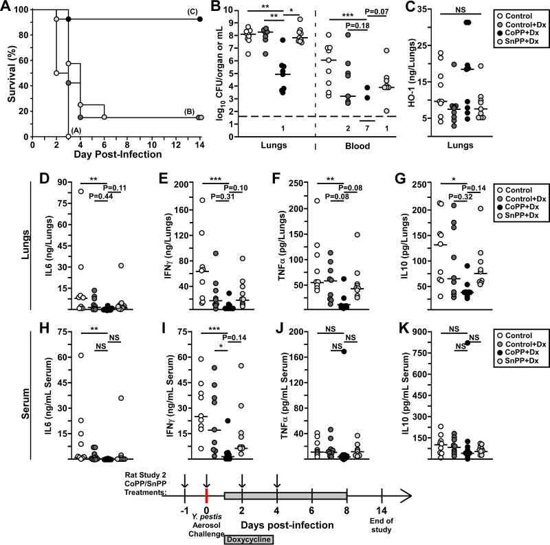 FIG 6