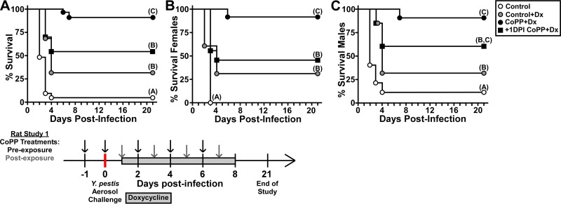 FIG 5