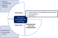 Image, graphical abstract