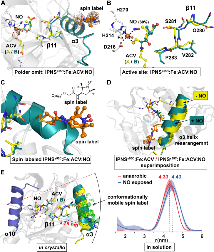 Figure 5