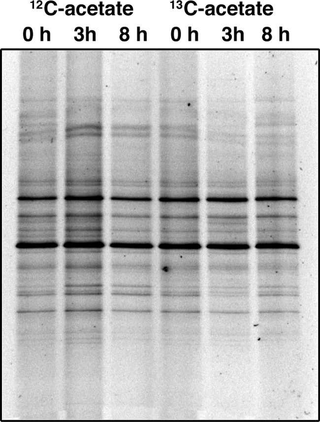 FIG. 7.