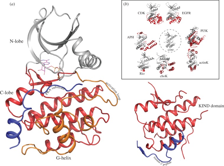 Figure 2.