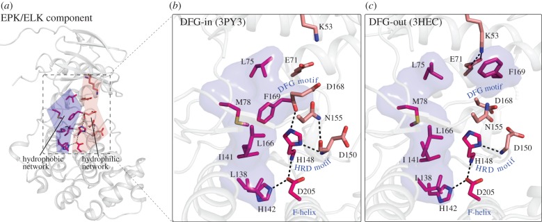 Figure 3.