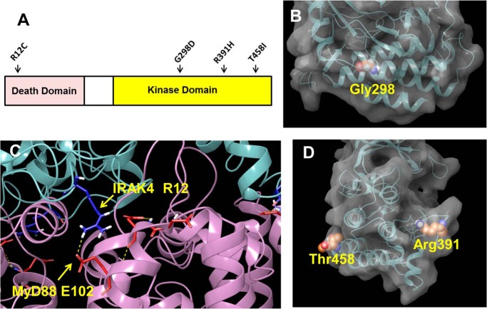 Figure 3.