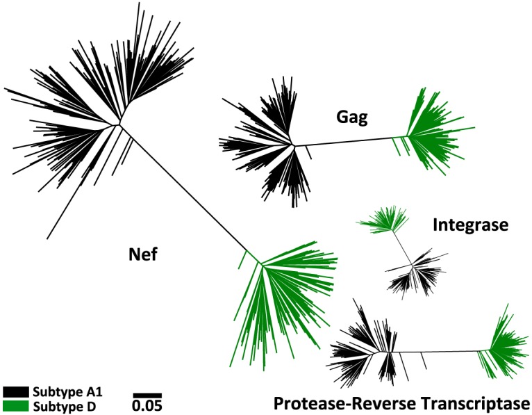 FIG 1