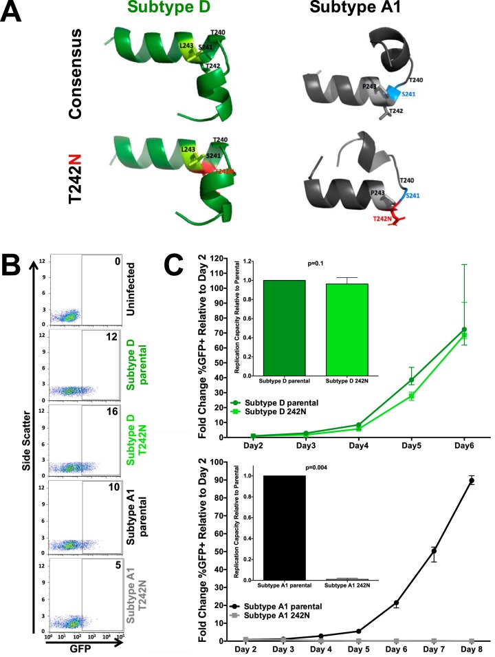 FIG 5