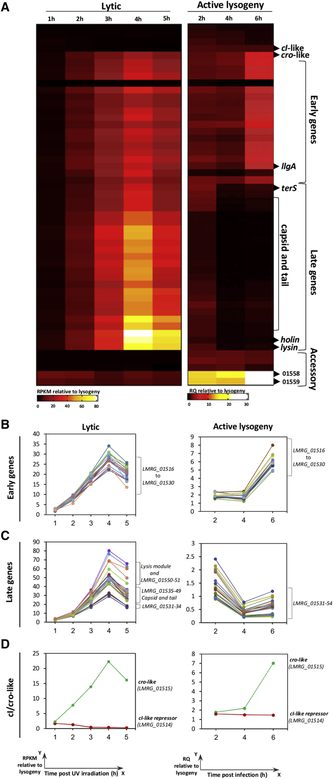 Figure 3