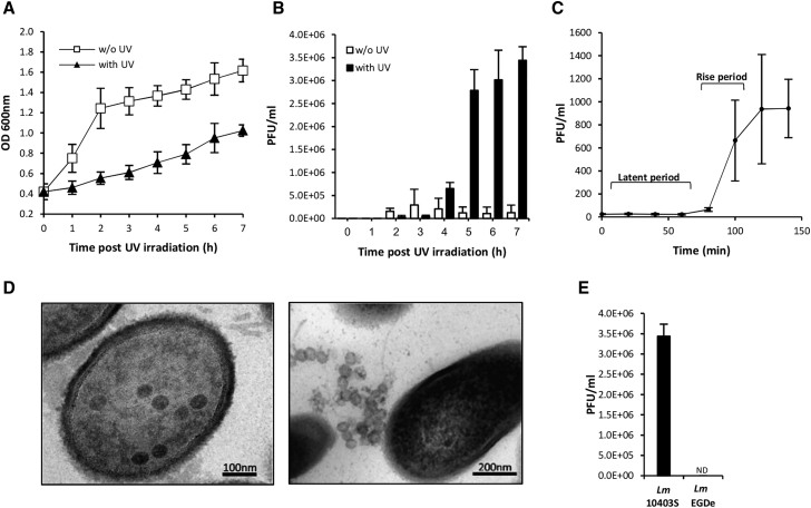 Figure 1